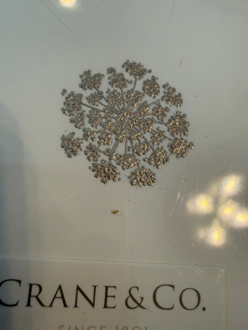 NIB CRANE & Co Stationary Silver Queen Anne Lace Design Notecards 15 w/ envelope